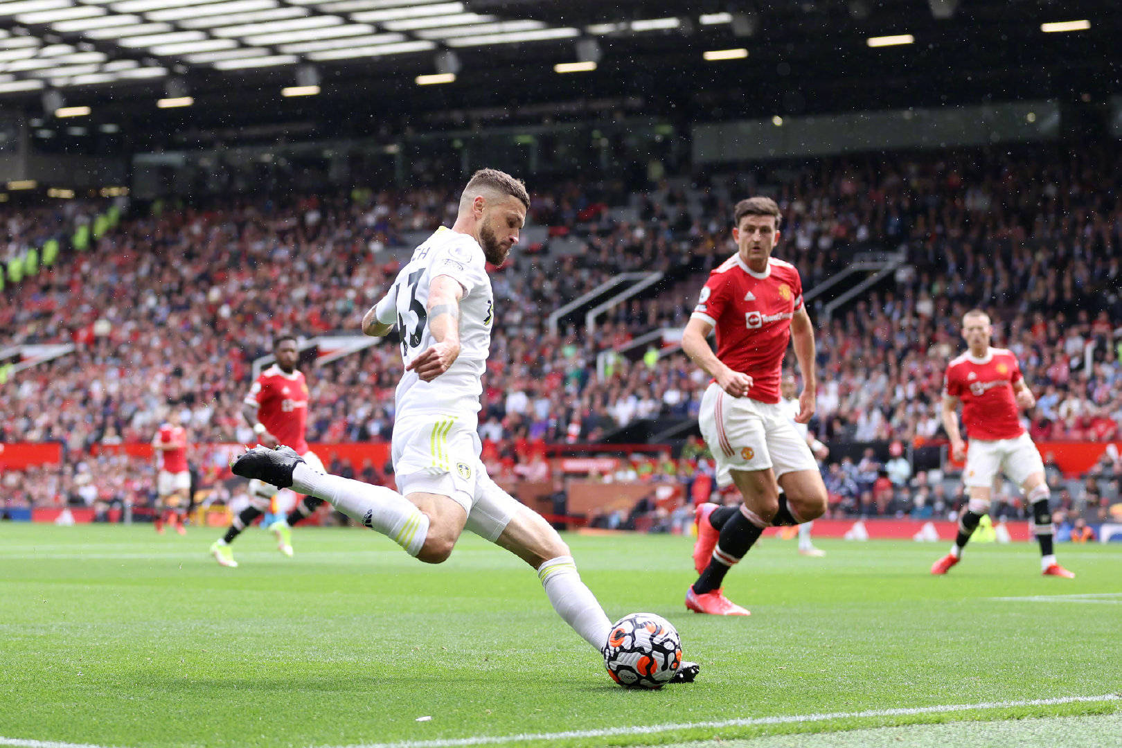 证明了他们 证明了他们