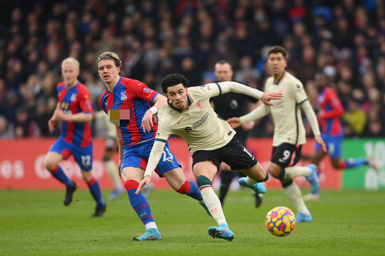 断的判断力 断的判断力